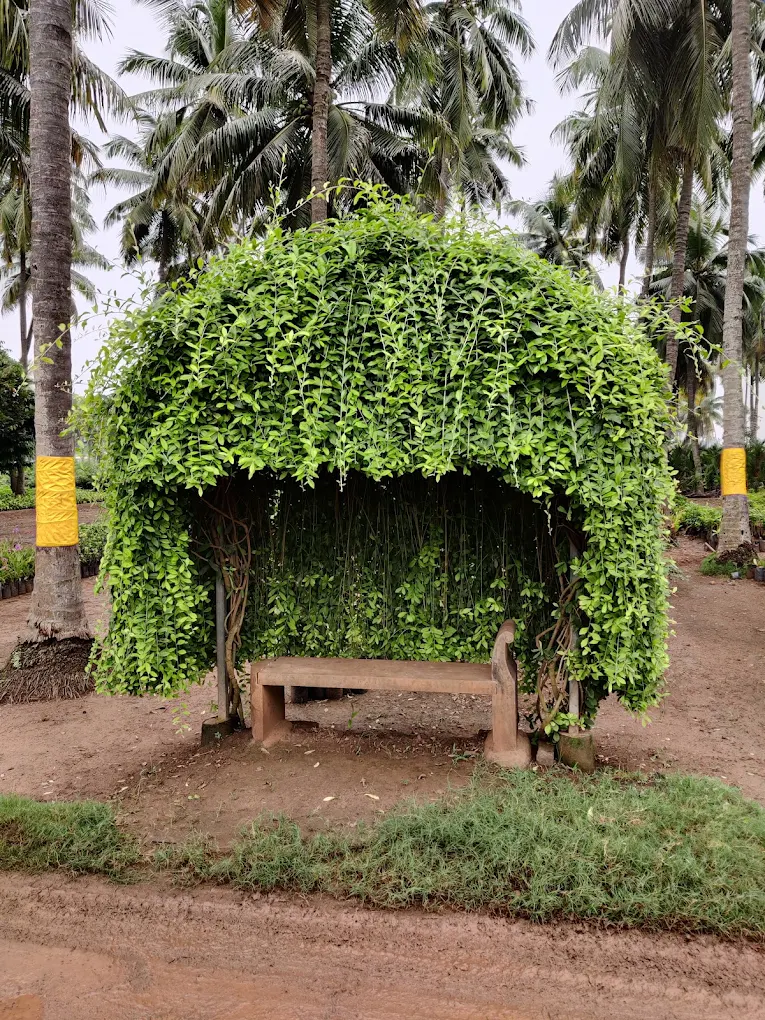 Caring for plants at the nursery